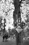 Cerf volant MDP Mouvement démocratique populaire du Chili, coalition politique de la gauche chilienne