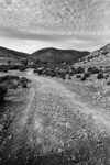 paisaje desértico con camino de tierra en el Norte Chico, Chile